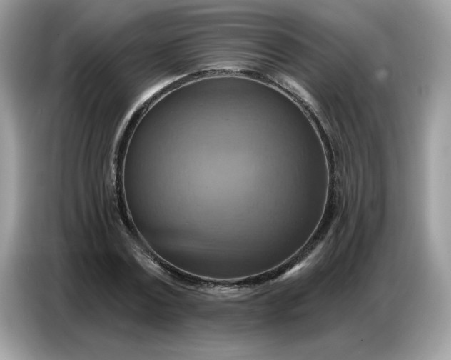 X0000086750779200704271709