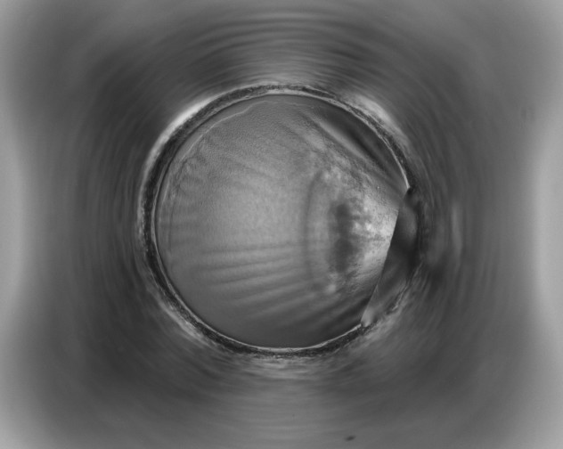 X0000086750780200704271709