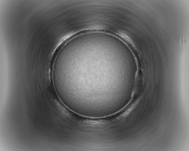 X0000086750781200704271709