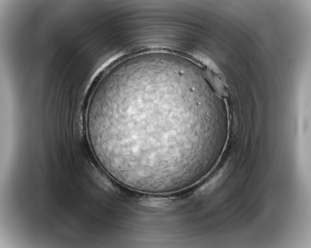 X0000086750782200704271709