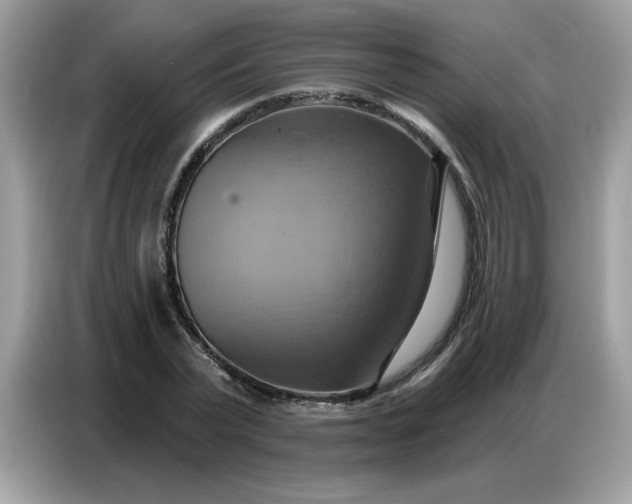 X0000086750783200704271709