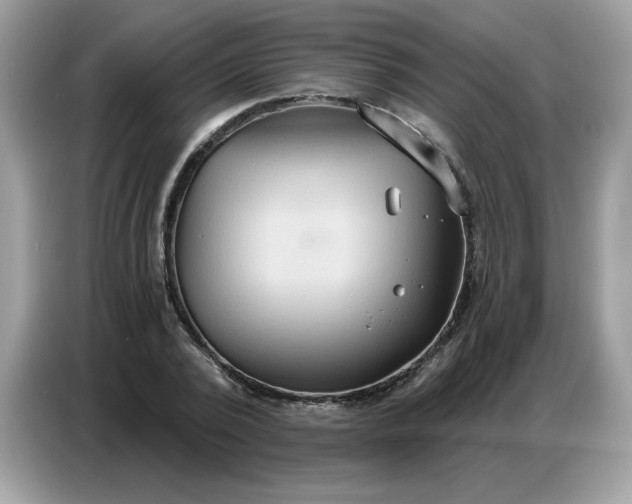 X0000086750784200704271709