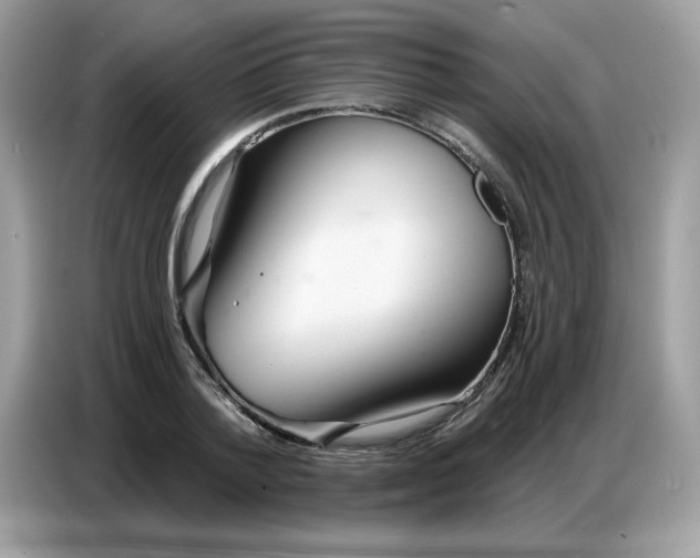 X0000086750788200704271709