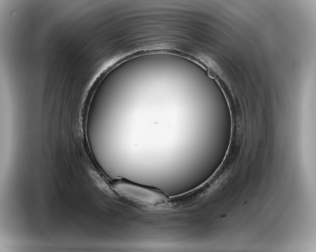 X0000086750789200704271709