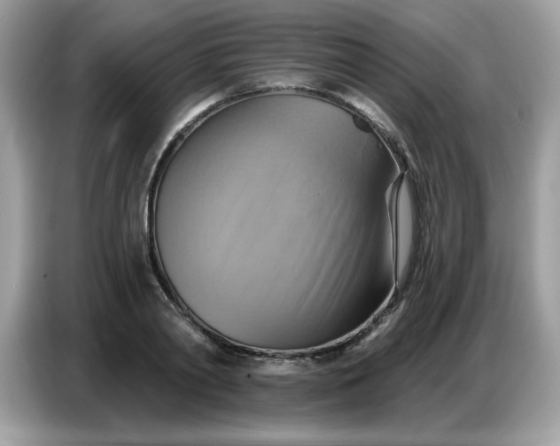 X0000086750790200704271709