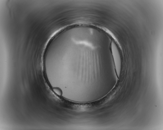 X0000086750791200704271709