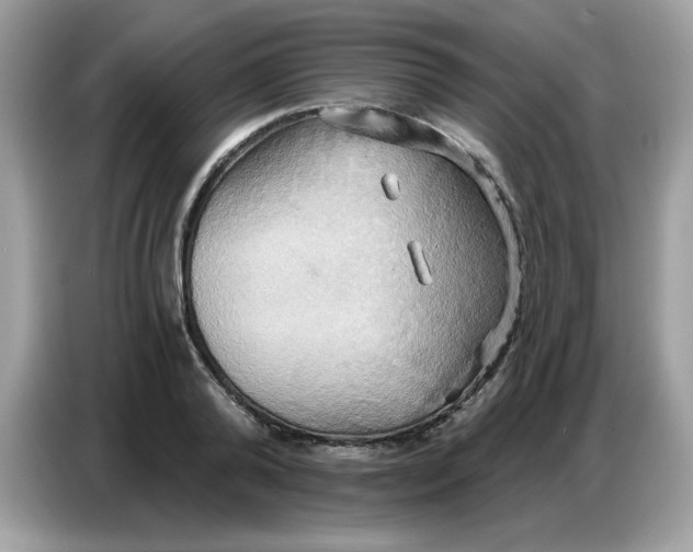 X0000086750792200704271709