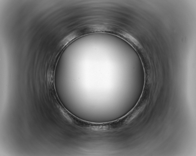 X0000086750793200704271709