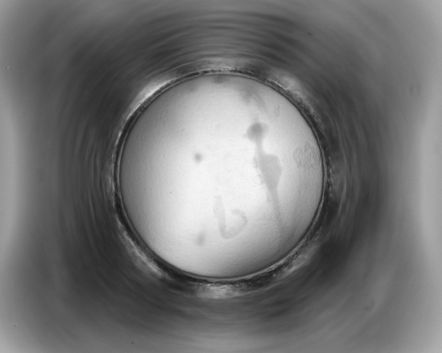 X0000086750794200704271709