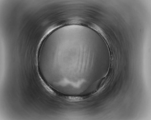 X0000086750795200704271709