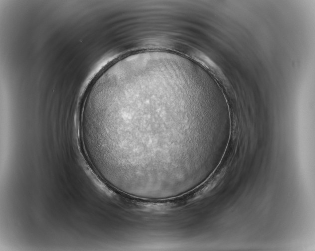 X0000086750796200704271709