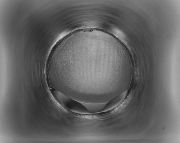 X0000086750797200704271709