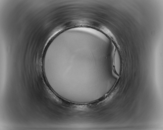 X0000086750798200704271709