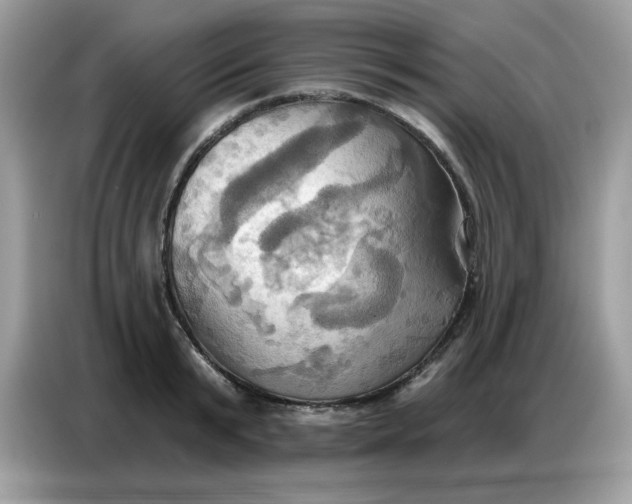 X0000086750799200704271709