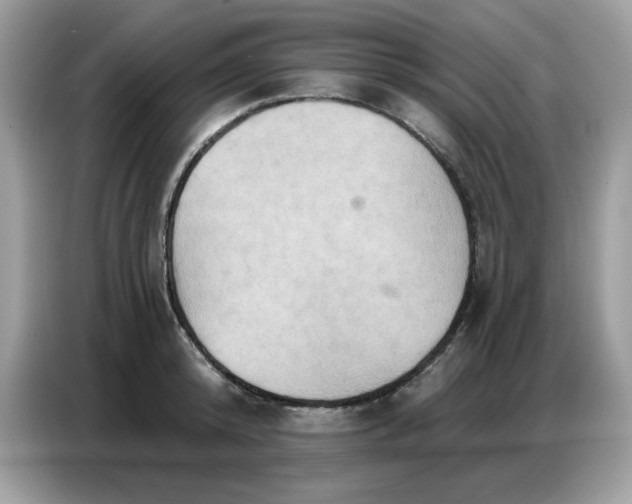 X0000086750800200704271709