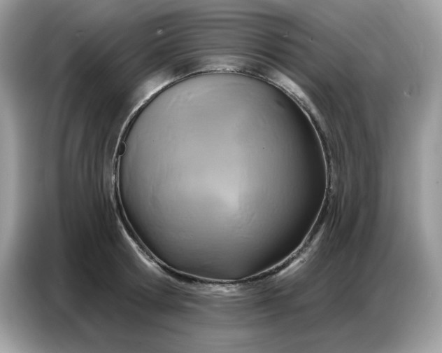 X0000086750802200704271709