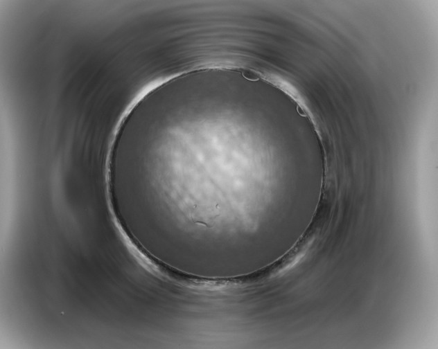 X0000086750803200704271709