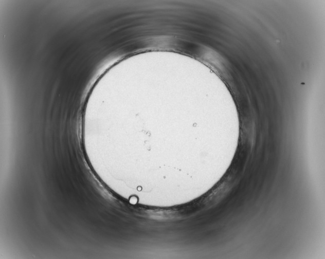 X0000086750804200704271709