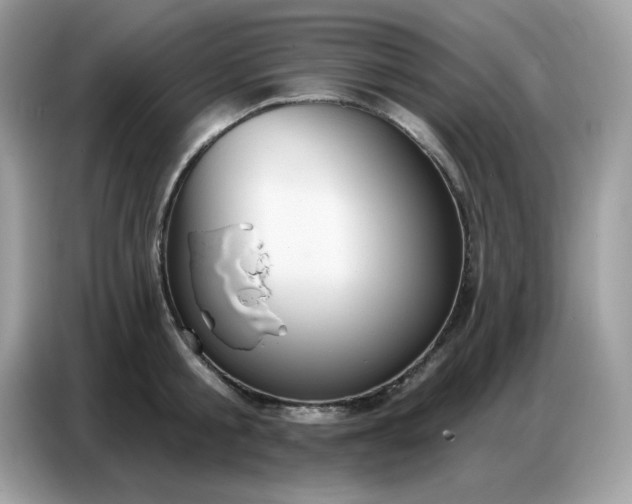 X0000086750805200704271709