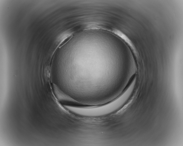 X0000086750809200704271709