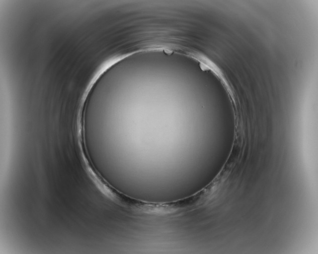 X0000086750811200704271709