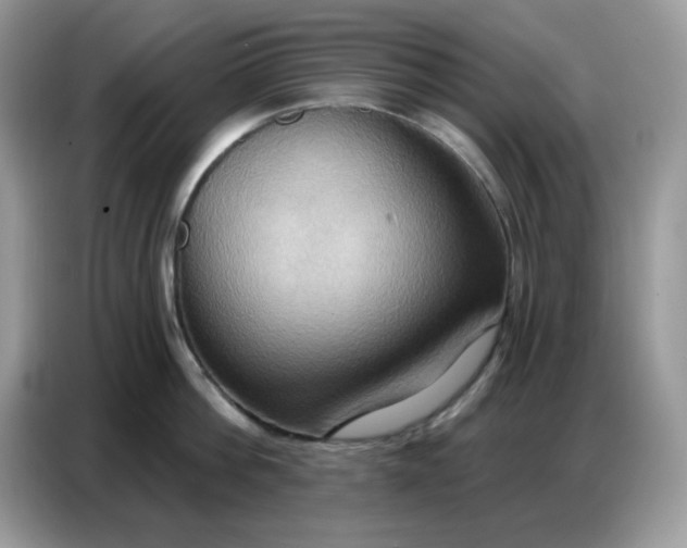 X0000086750812200704271709