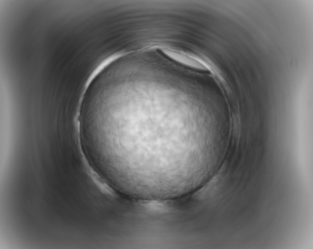 X0000086750814200704271709