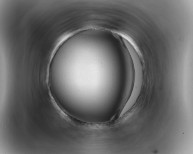 X0000086750815200704271709