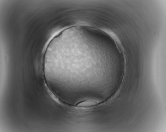 X0000086750816200704271709