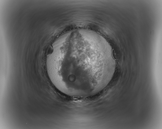 X0000086750817200704271708