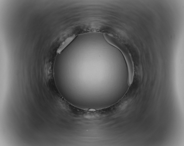 X0000086750818200704271708