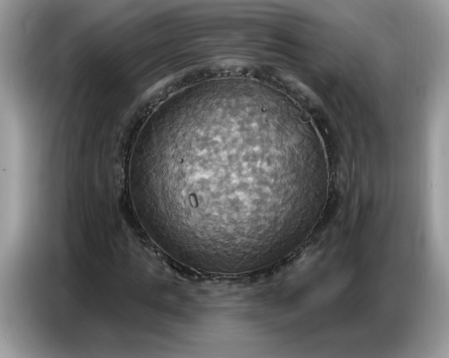 X0000086750821200704271708