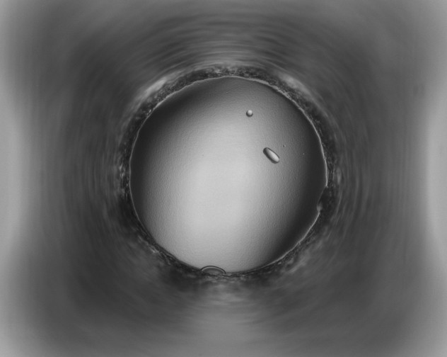 X0000086750822200704271708