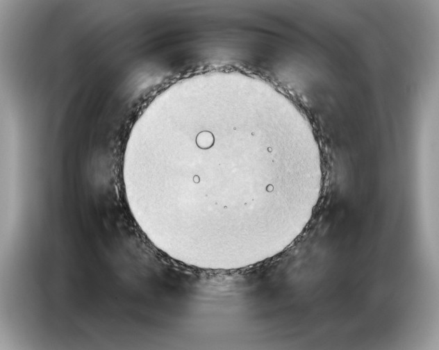 X0000086750824200704271708