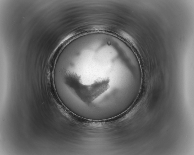 X0000086750827200704271708