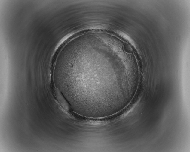 X0000086750829200704271708