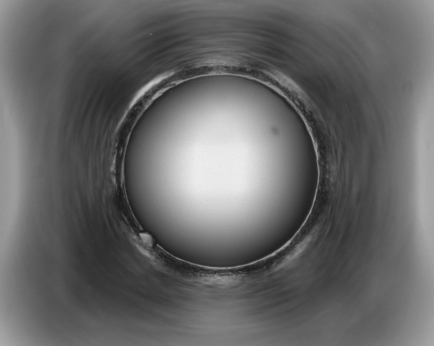 X0000086750830200704271708