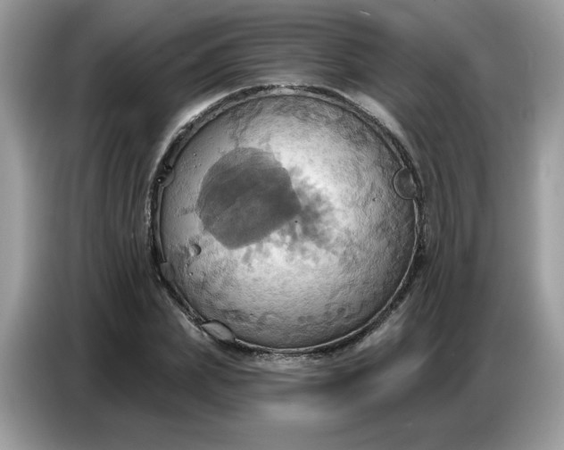 X0000086750831200704271708