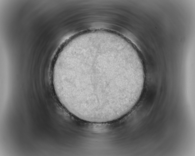 X0000086750832200704271708