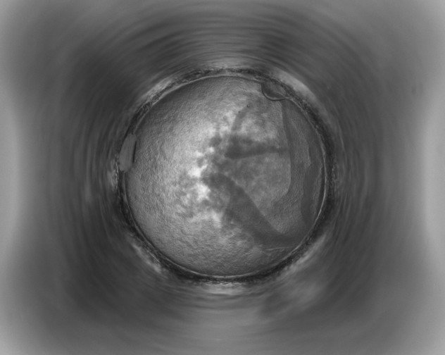 X0000086750833200704271708