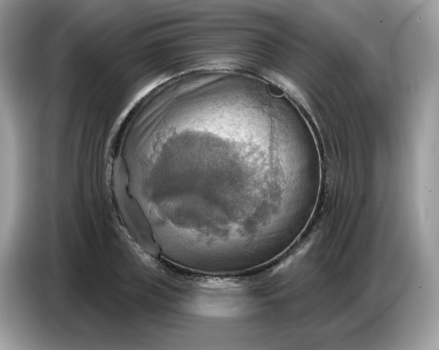 X0000086750835200704271708