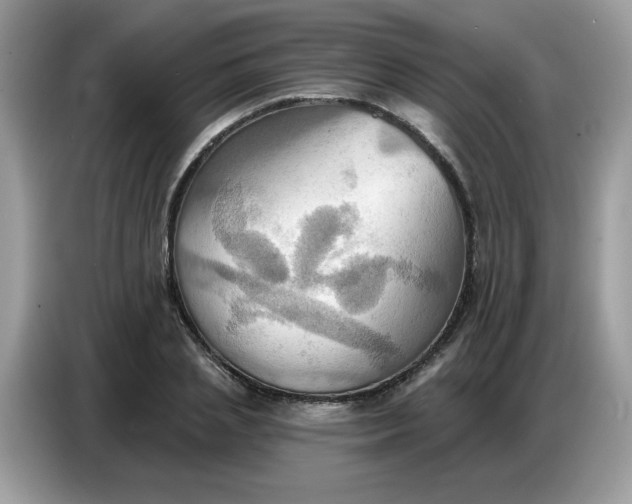 X0000086750837200704271708