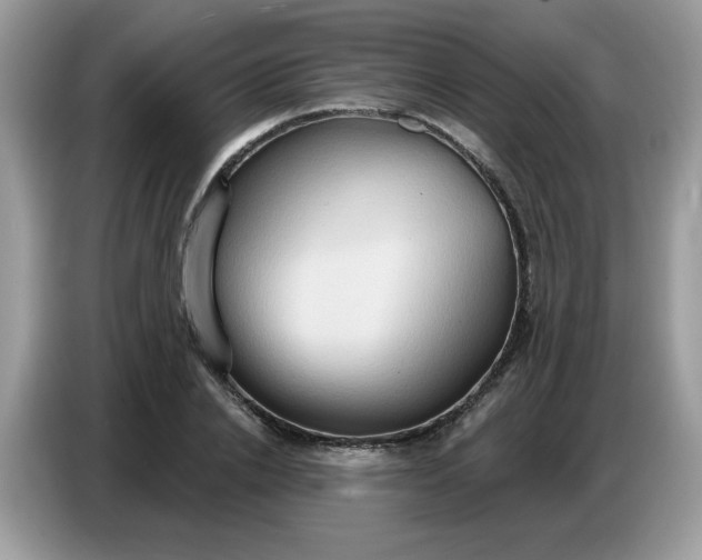 X0000086750838200704271708