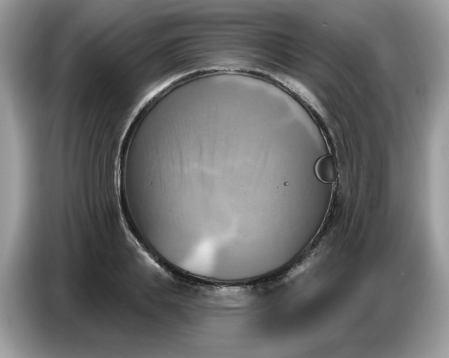 X0000086750839200704271709