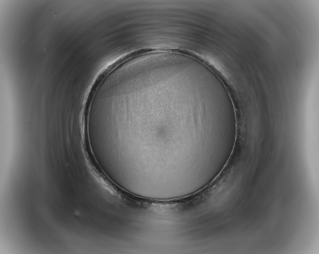 X0000086750840200704271709