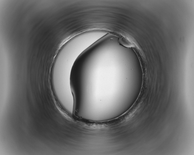 X0000086750842200704271709