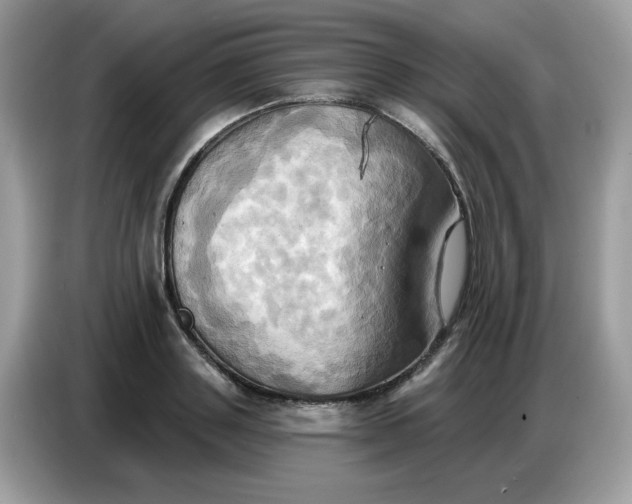 X0000086750843200704271709