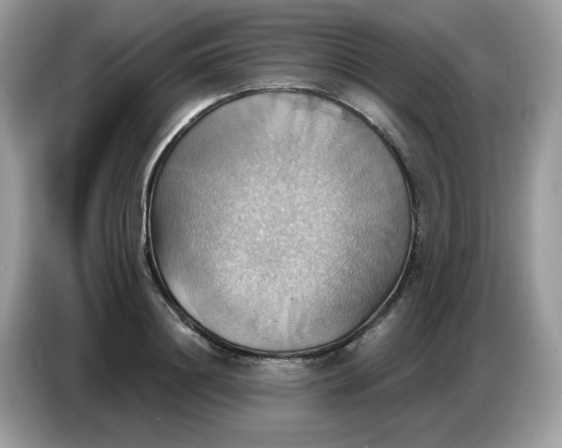 X0000086750844200704271709