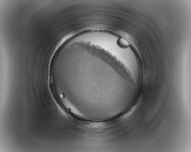 X0000086750845200704271709