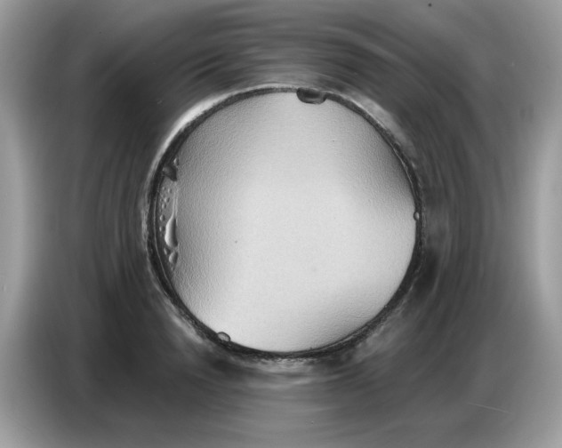 X0000086750846200704271709